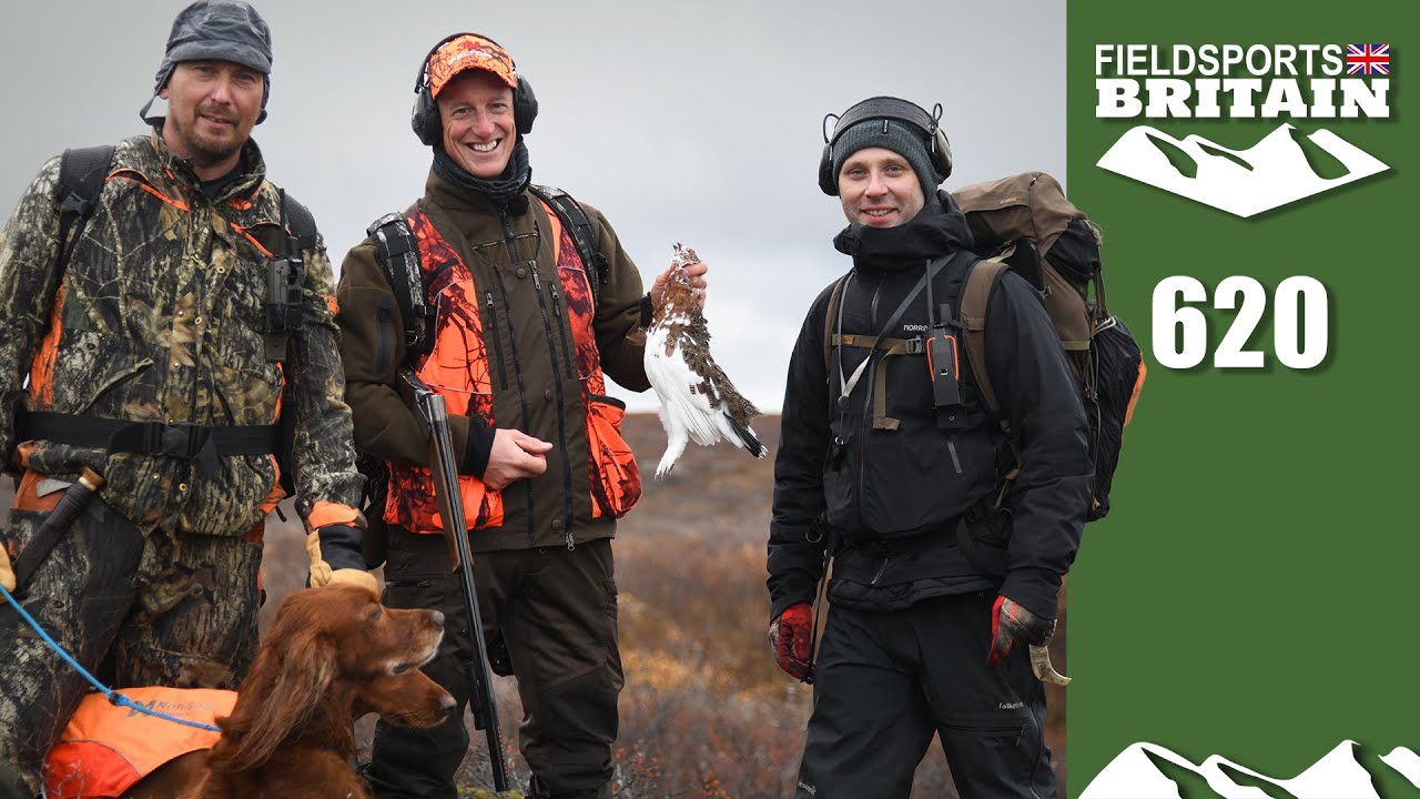 Fieldsports Britain – Paul's Arctic ptarmigan hunt