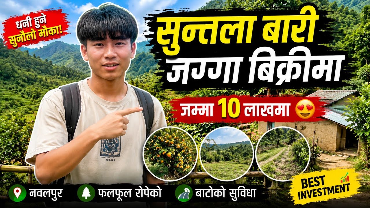 सुन्तला 🍊 बारी जग्गा बिक्रीमा जम्मा 10 लाखमा #kumar #Magar #Nawlpur #ghar जग्गा #Bulingtar-1