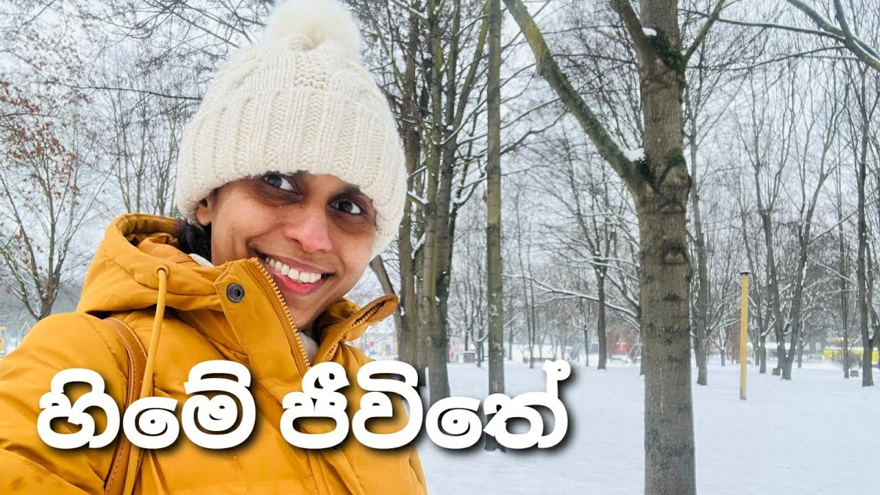  අපේ පවුලේ  අලුත් සමාජිකයා | Shopping | Cooking | Life in Poland 🇵🇱  #lifeinpoland #winter #snow 