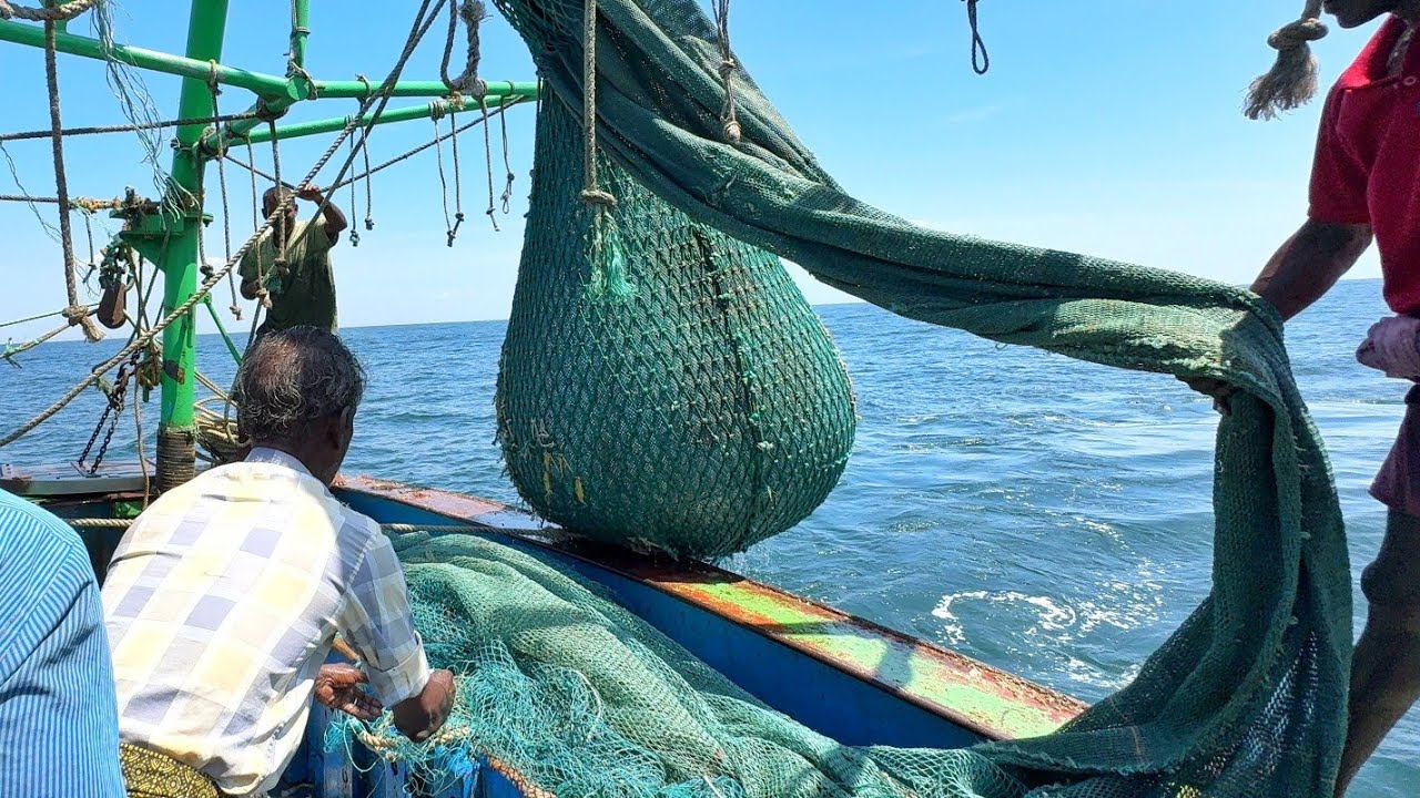 OMG❗Trawler Net Fishing 💢 Full Video Capture 🤩 Indian Fishing Adventure 