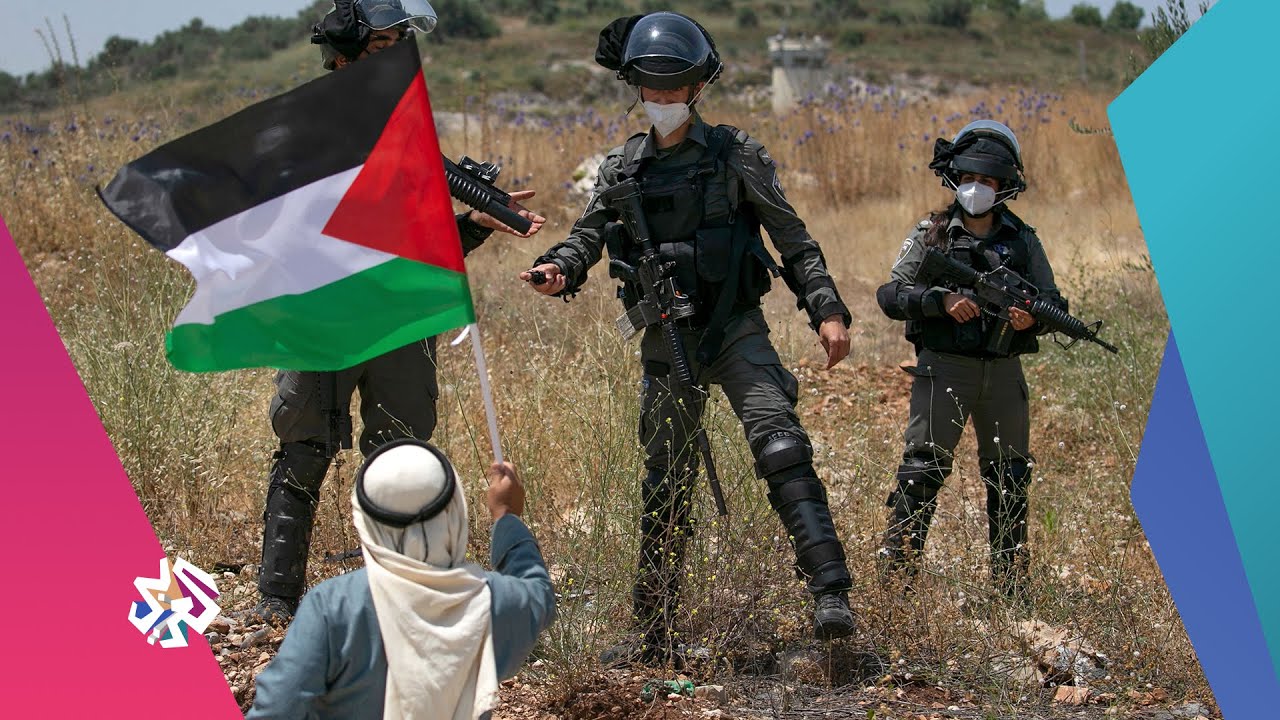 مثلث الجليل - فلسطين | عين المكان