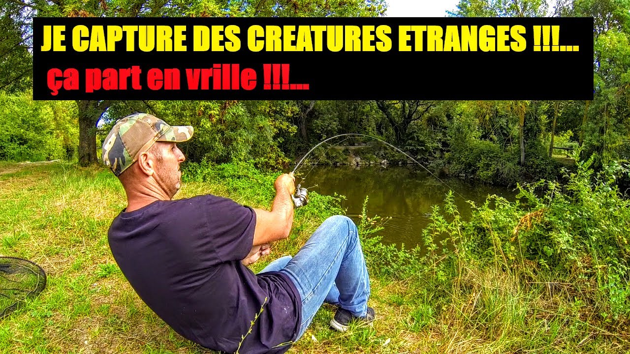JE CAPTURE DES CREATURES ETRANGES !!!   ça part en vrille !!!