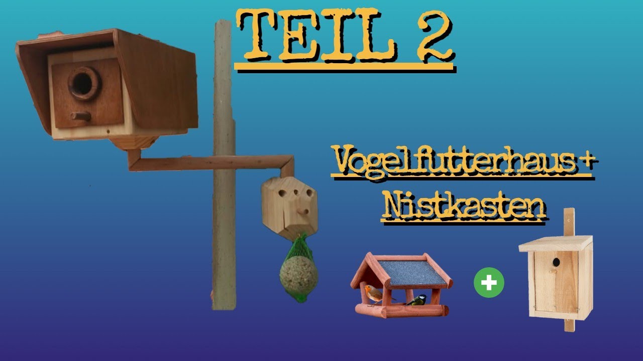 Vogefutterhaus & Nistkasten gleichzeitig in Camera Optik - TEIL 2
