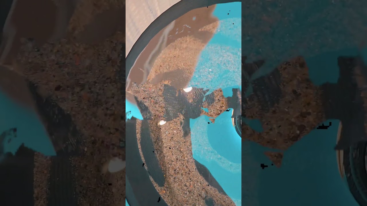 3D printed Blue bowl for gold recovery ! #nature #gold #prospecting #blacksandsand #Sluice
