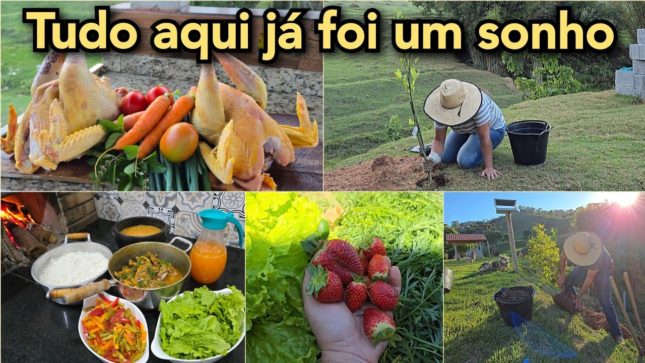 PLANTAMOS FRUTÍFERAS+COLHEITA NA HORTA+LIDEI COM FRANGO CAIPIRA PRA JANTA NO FOGÃO A LENHA. 