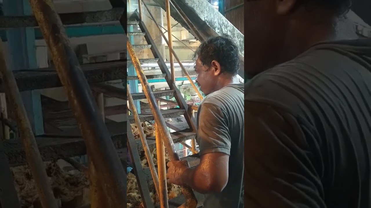 Alat press jangkos sawit #bunchpress