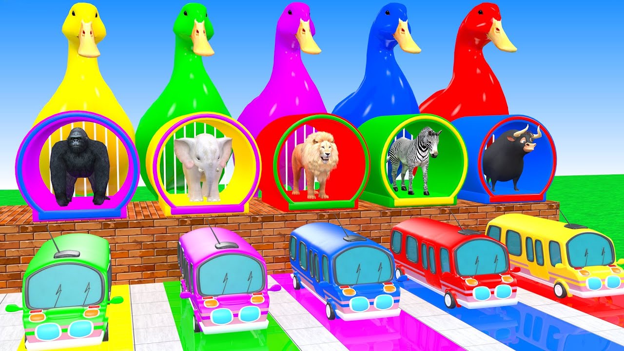 Long Slide Game With Elephant Gorilla Lion Zebra Bull Hipopotamus 3d Animal Game Funny 3d Animals