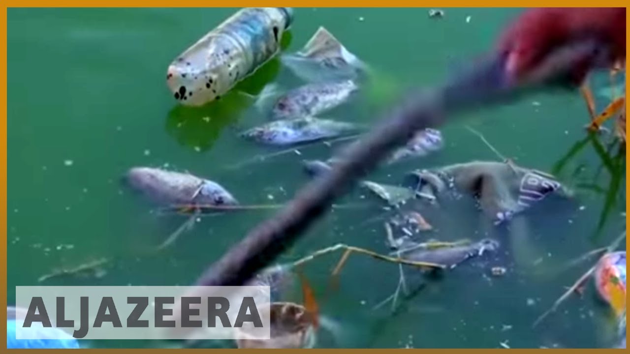 🇮🇶 Ирак: загрязнение воды в Басре может спровоцировать вспышки заболеваний l Al Jazeera English
