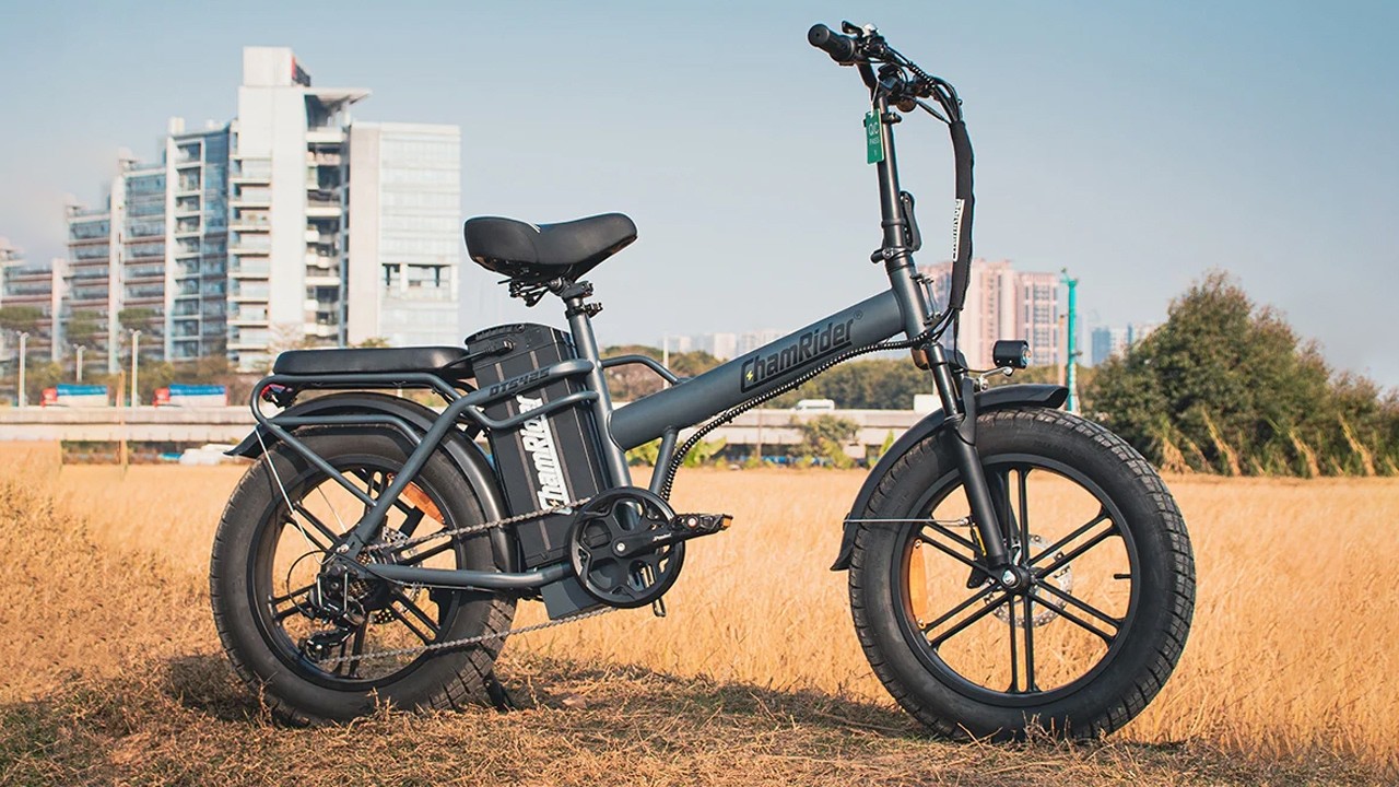 ChamRider DTS425 Electric Bike 750W Power Motor 48 V25AH Battery Electric Bike