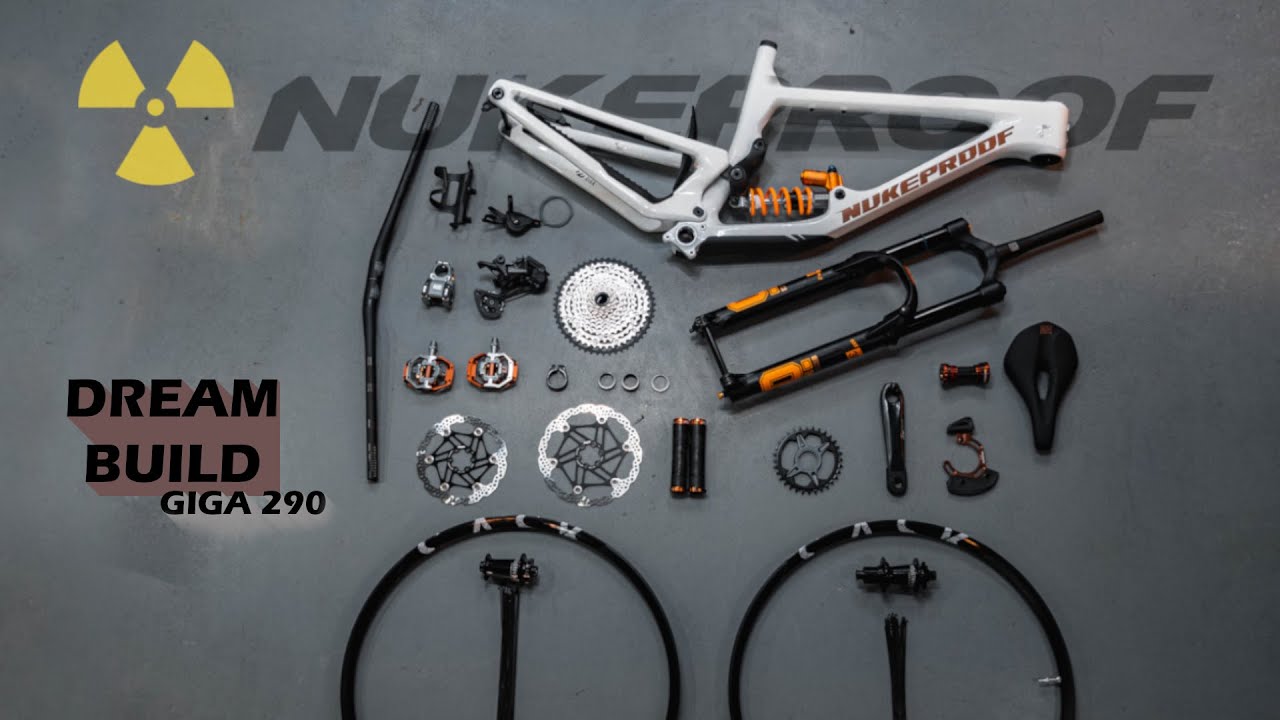 DREAM BUILD - Nukeproof Giga 290