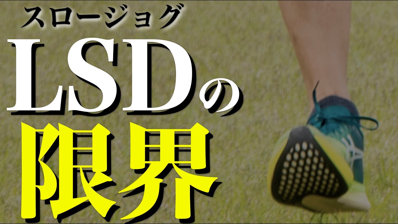 【最新版】LSDは本当に速くなるのか？