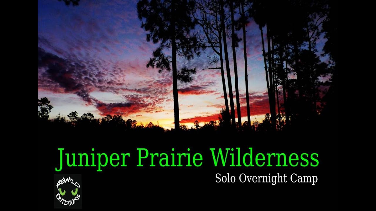 Juniper Prairie Wilderness - Solo Overnight Camp #ocalanationalforest #solocamping #hammockcamping
