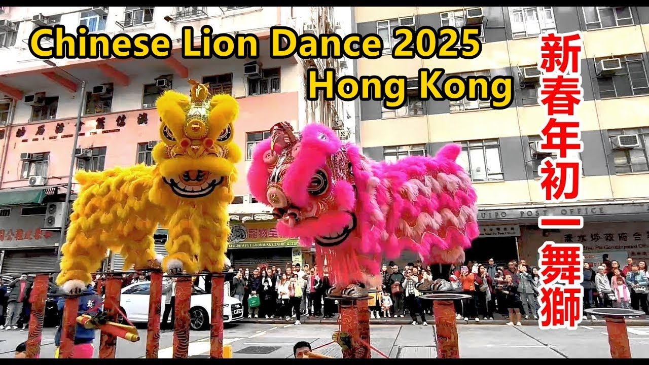 Chinese Lion Dance Chinese New Year 2025 in Hong Kong 香港農曆新年蛇年大年初一醒獅拜年 姜氏金龍醒獅團 中國醒獅 中華舞獅 非物質文化遺產