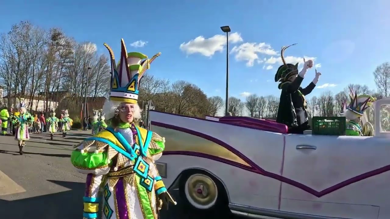 Carnavalstoet Ninove 2023 🎭