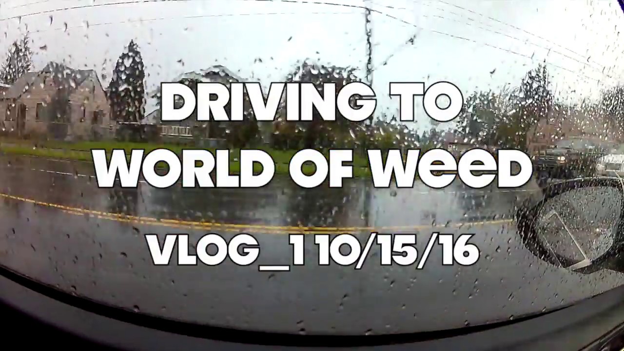 Nacho drives to World of Weed