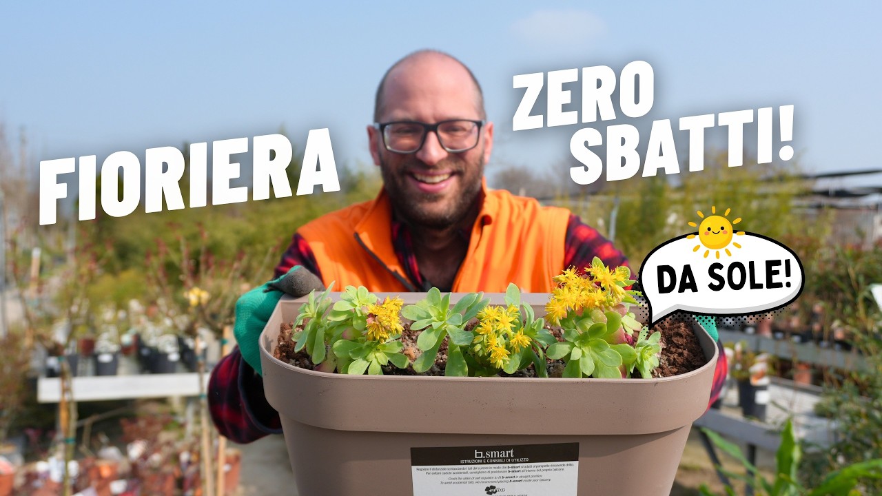 Fioriera, Zero Sbatti, da mettere al sole ☀️!