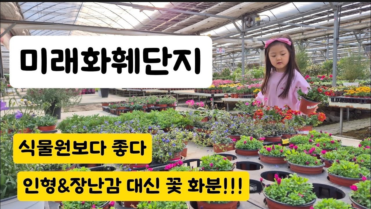 부산 아이랑 가볼만한 곳! 미래화훼단지에서 봄맞이 꽃 쇼핑 🌸 식물원보다 더 좋은 힐링 코스 추천