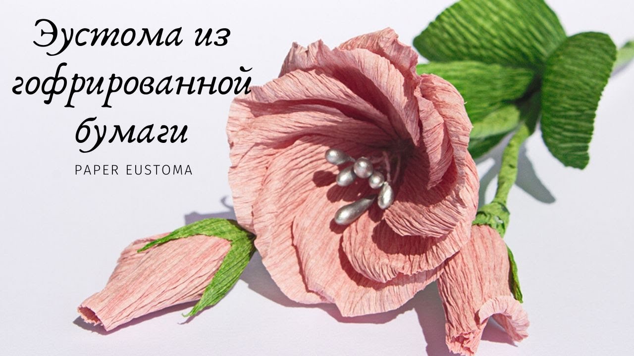 Эустома из гофрированной бумаги / DIY / Paper eustoma