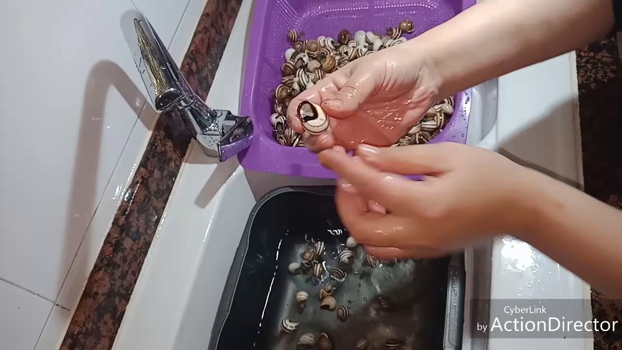 طريقة غسل و تنظيف البوبوش او غلال او الحلزون بوبوش بسهولة و احترافية و طرد جميع الأوساخ منه