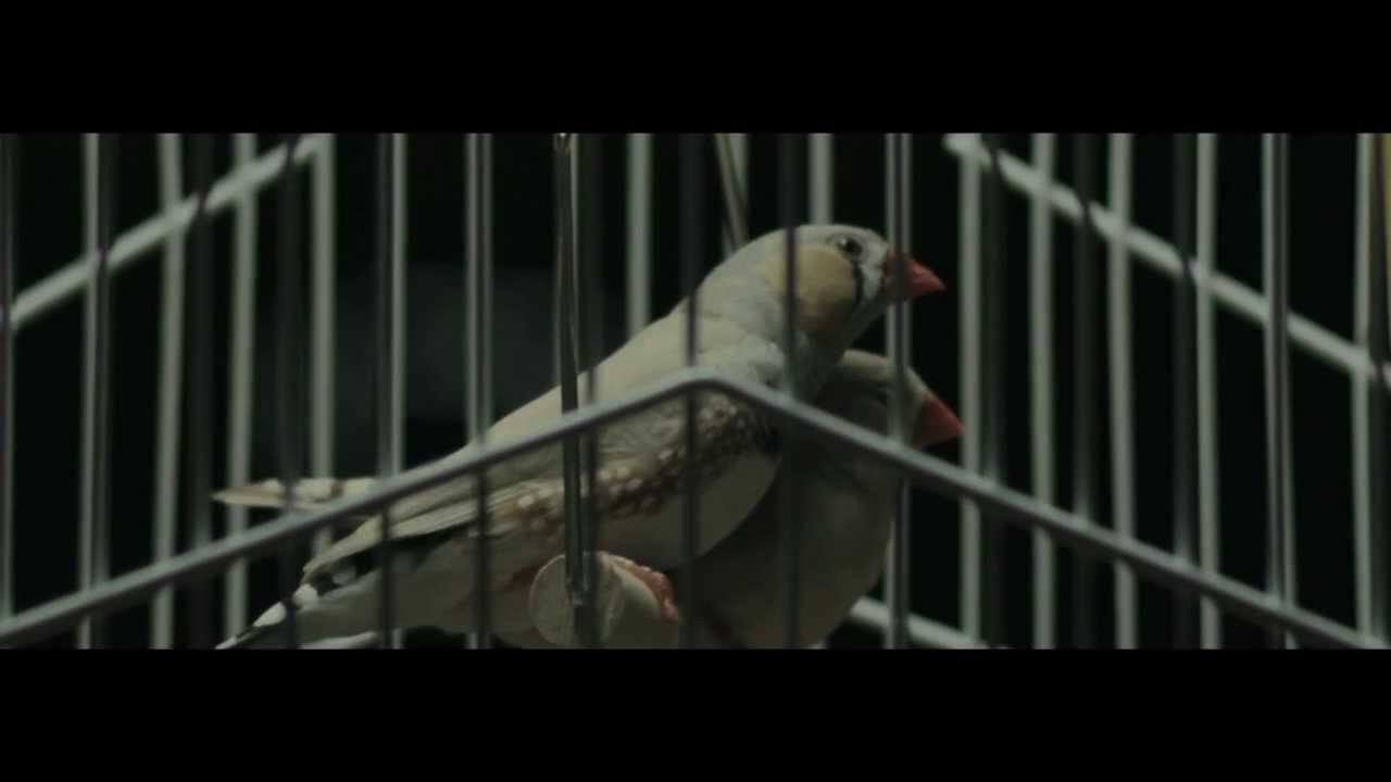 Monark - Build It Up