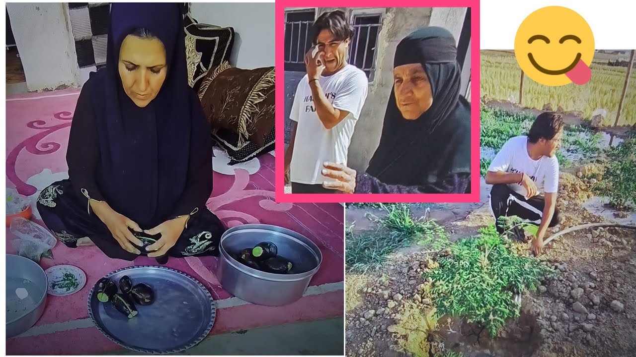 Mr. Hassan Family Nomadic Life: Caring for Goats & Watering Farm