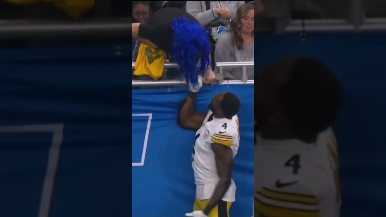 DK Metcalf punches a Detroit Lions fan….