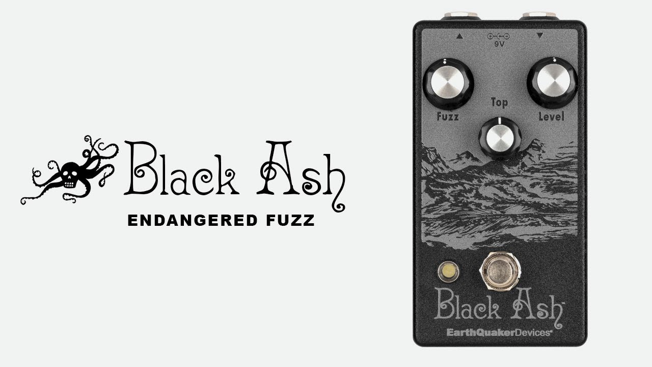 EarthQuaker Devices Black Ash Endangered Fuzz