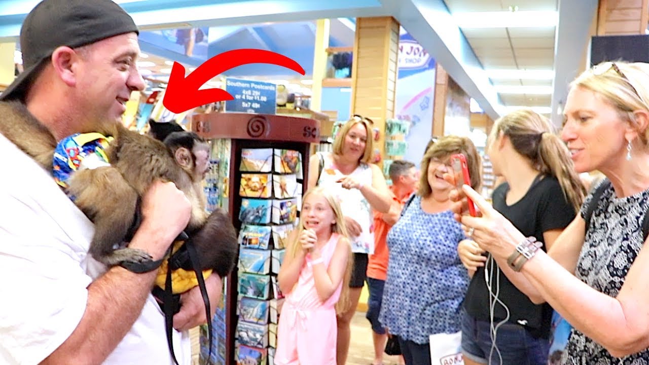 Monkeys Visit Ron Jons Surf Shop!