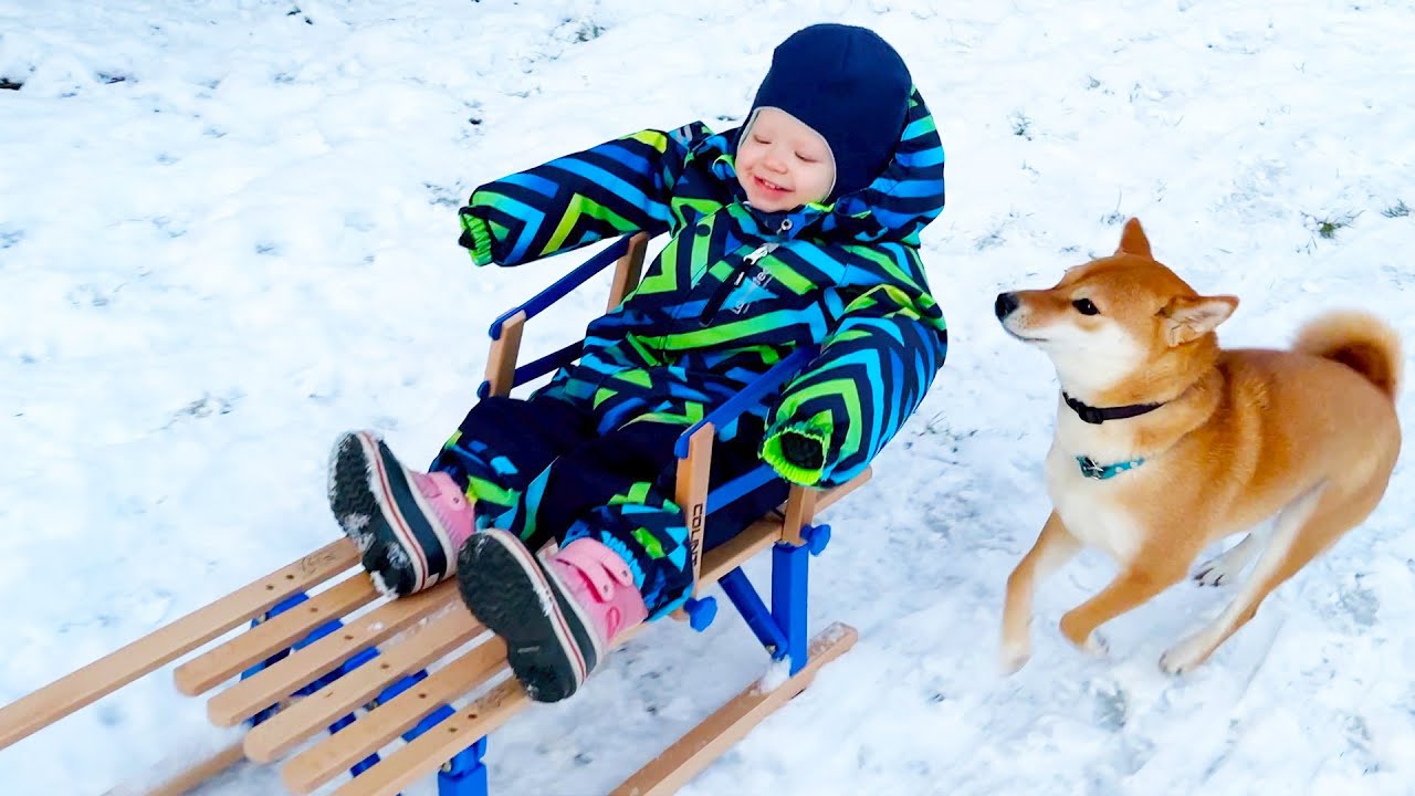 FIRST SLED FOR TODDLER ❗️ [LIVING IN POLAND] 2023