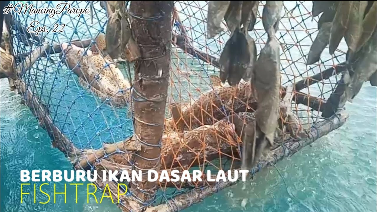 Alat Penangkapan ikan Laut Sederhana #fishing #trap #fishtrap