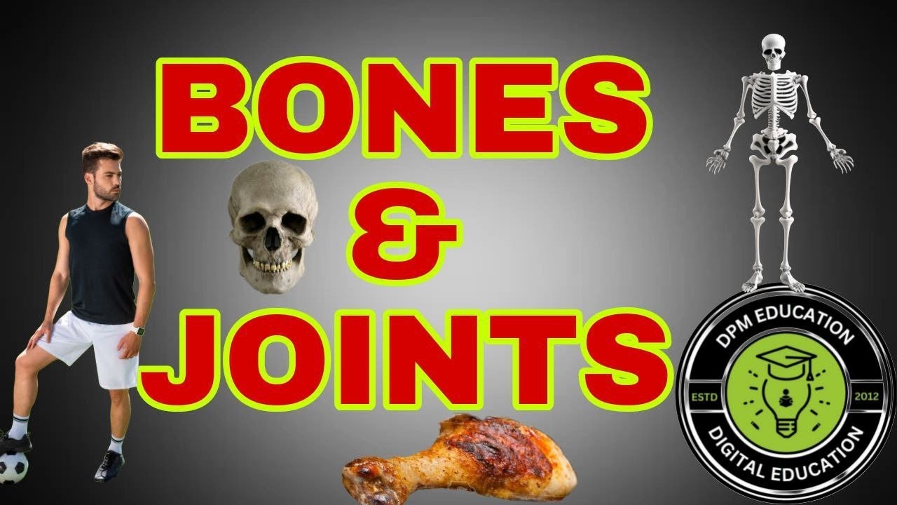 Physical Education online Classes ||ANATOMY AND PHYSIOLOGY MCQ || BONE || JOINTS || PET EXAMS ODISHA