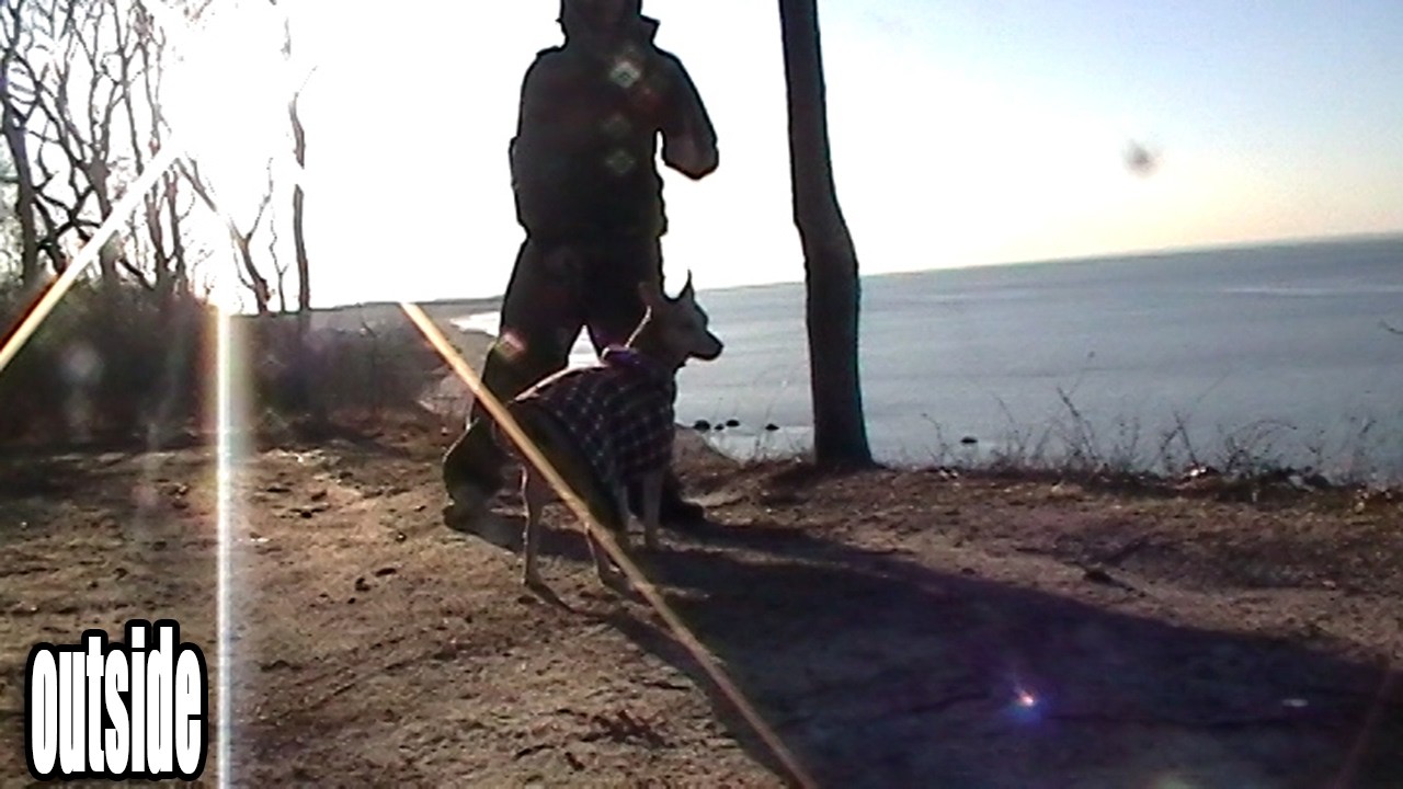 Actual day in my life | Togi goes to Cordwood Landing Park (22/100)