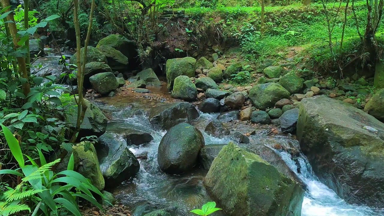 Relaxing Night River Sounds – Moonlit Water Flow for Calmness and Better Sleep