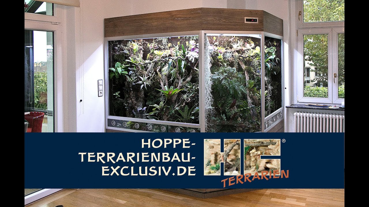 Regenwaldterrarium um eine Zimmerecke herum gebaut