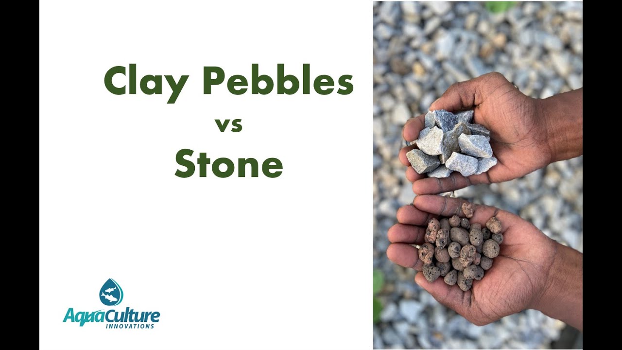 Aquaponics: Clay Pebbles vs Stone