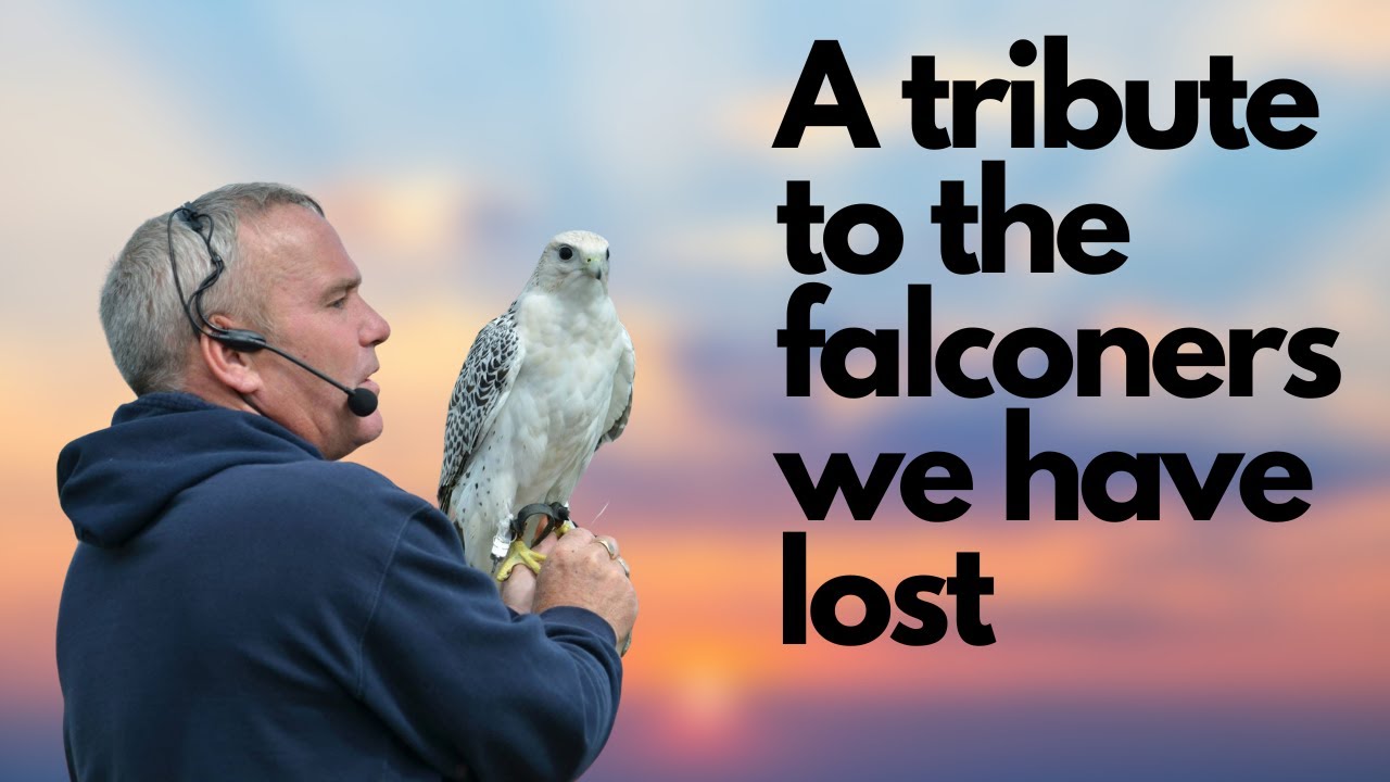 A tribute to Wayne Auty, Bob Dalton and Angie Chick