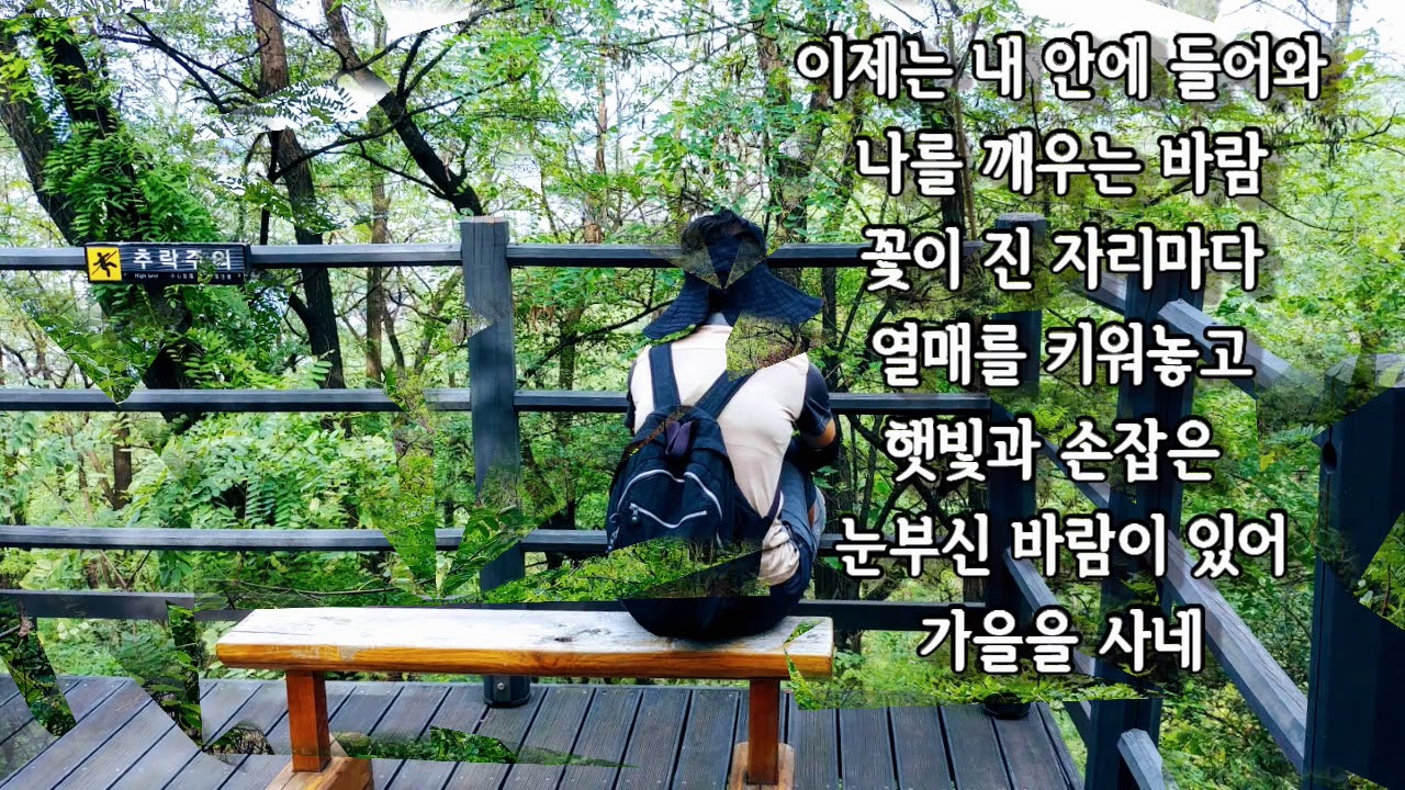 안개속으로 가버린 사랑-권윤경