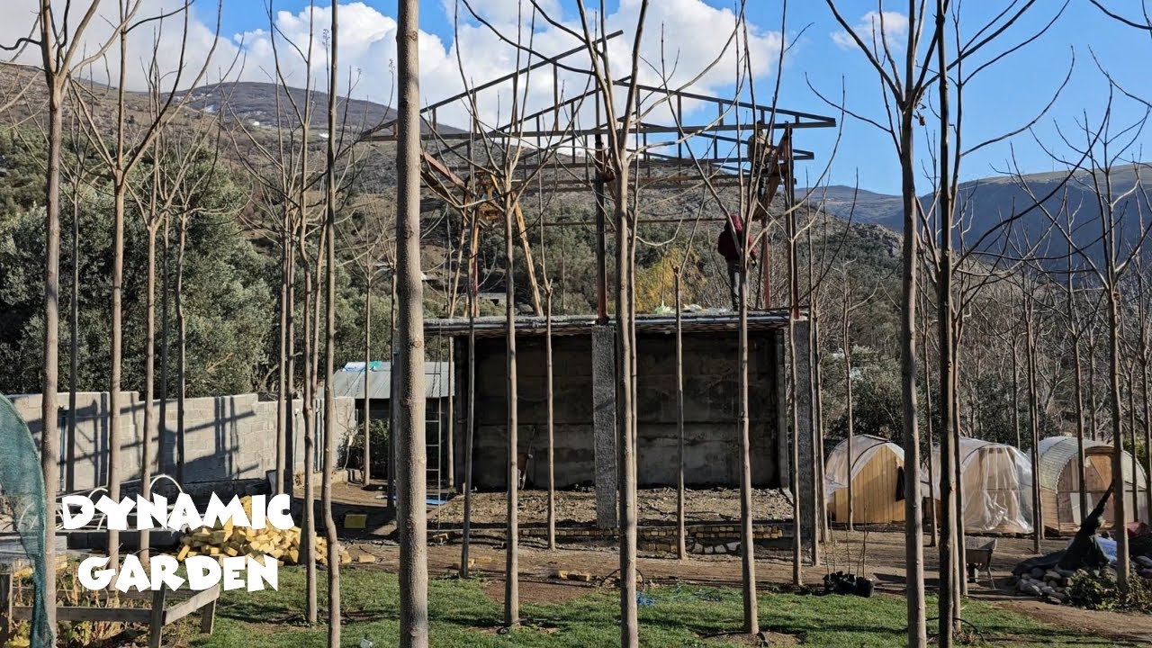 A house in the middle of the trees _ Paulownia Garden _ The first part