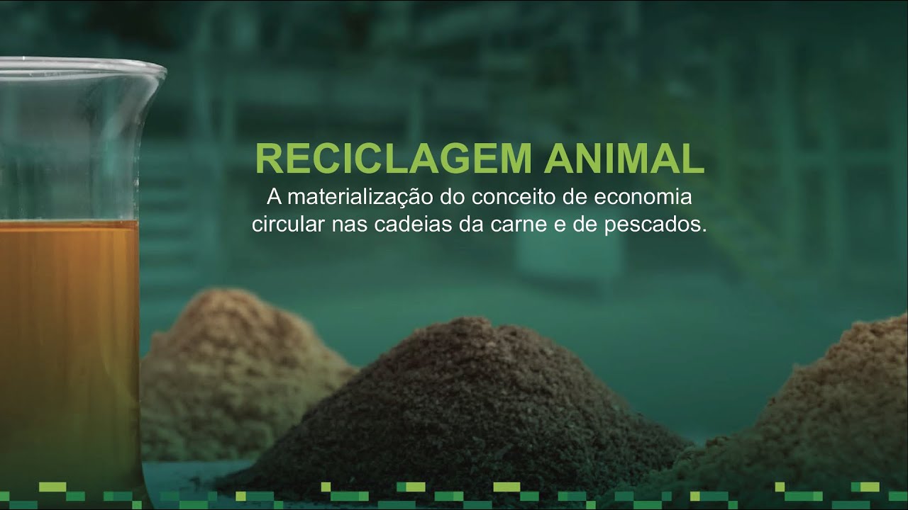 Reciclagem animal no Brasil – ABRA | Apresentação COP26