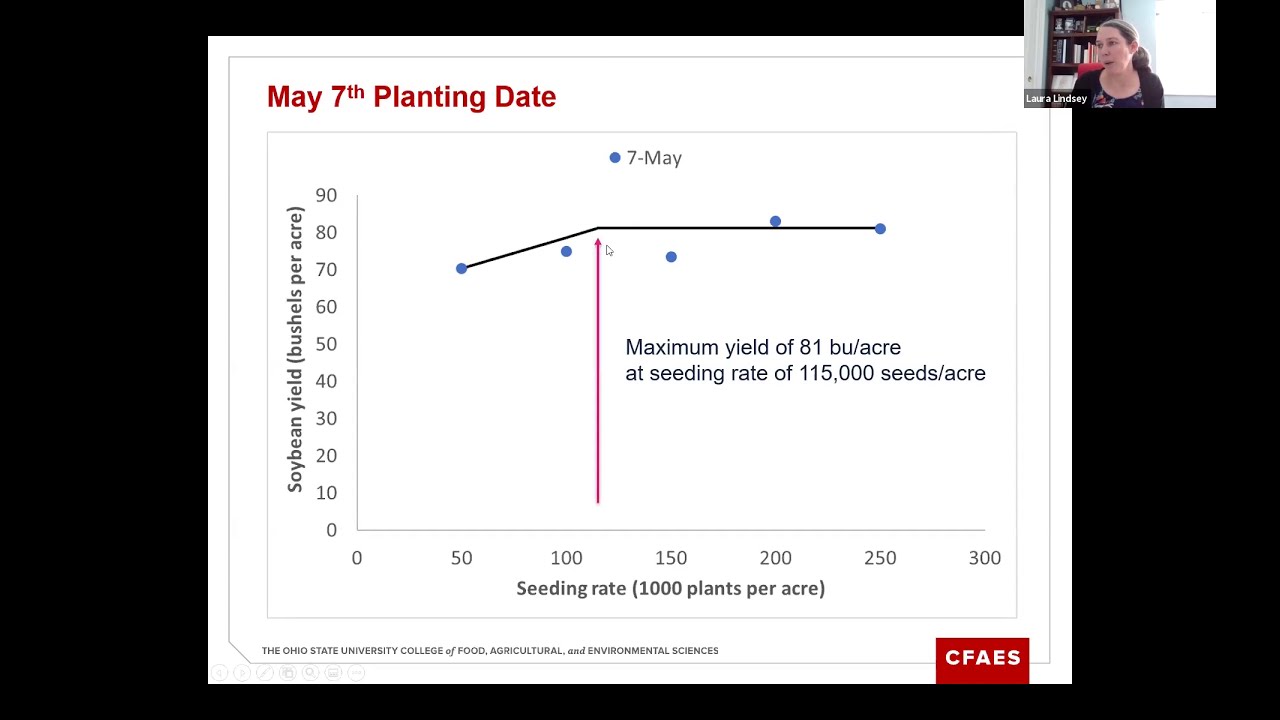 Soybean Management