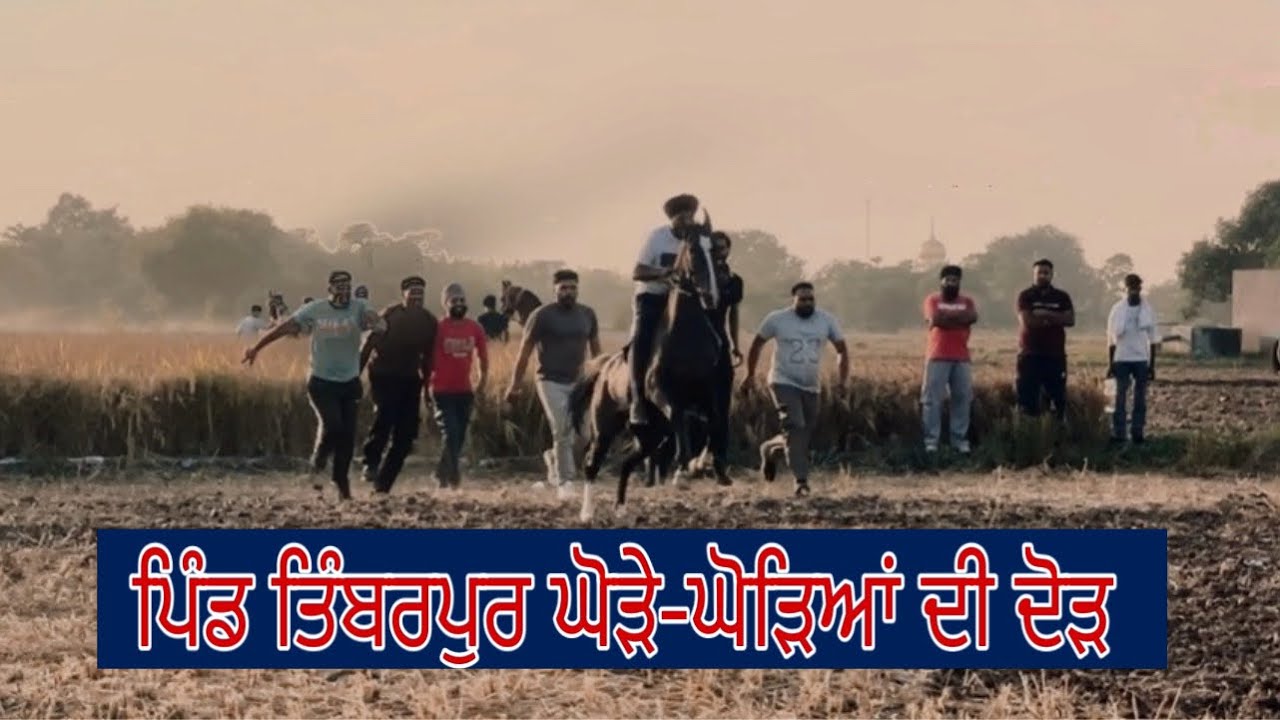 📍Timberpur village (Fatehgarh Sahib)horse race live 12/10/2025 @Pb10horselover 
