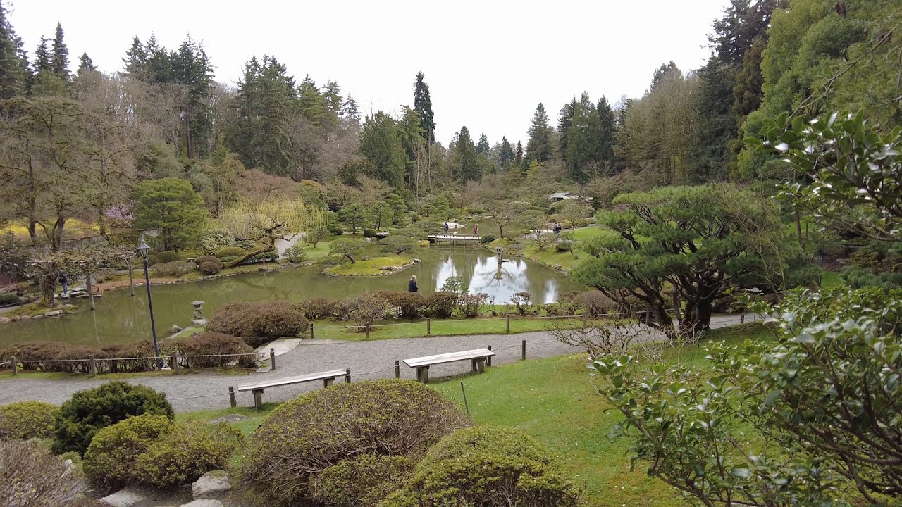 Seattle Japanese Garden Walking Tour 4K 60FPS