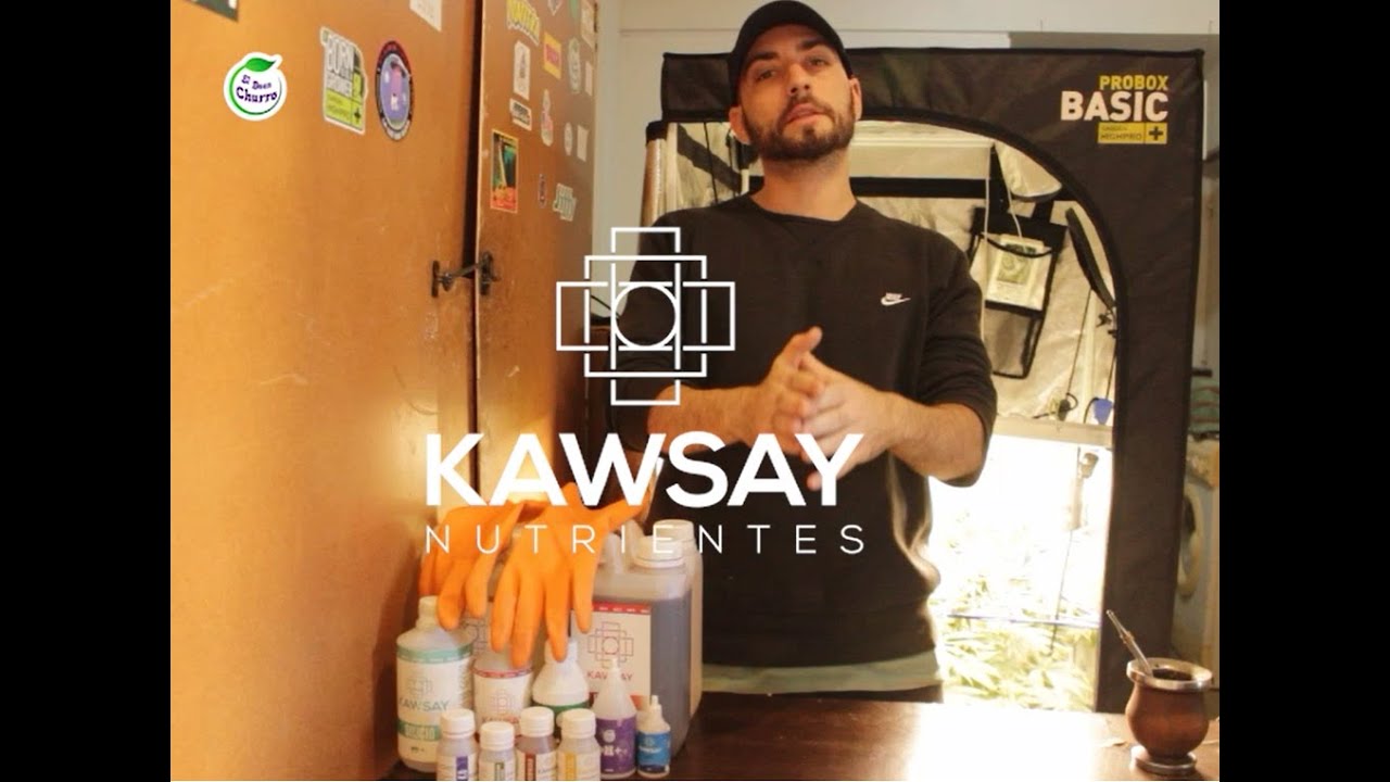 Kawsay Nutrientes, gu&iacute;a aplicaci&oacute;n sales minerales para Hidropon&iacute;a- BuenChurro