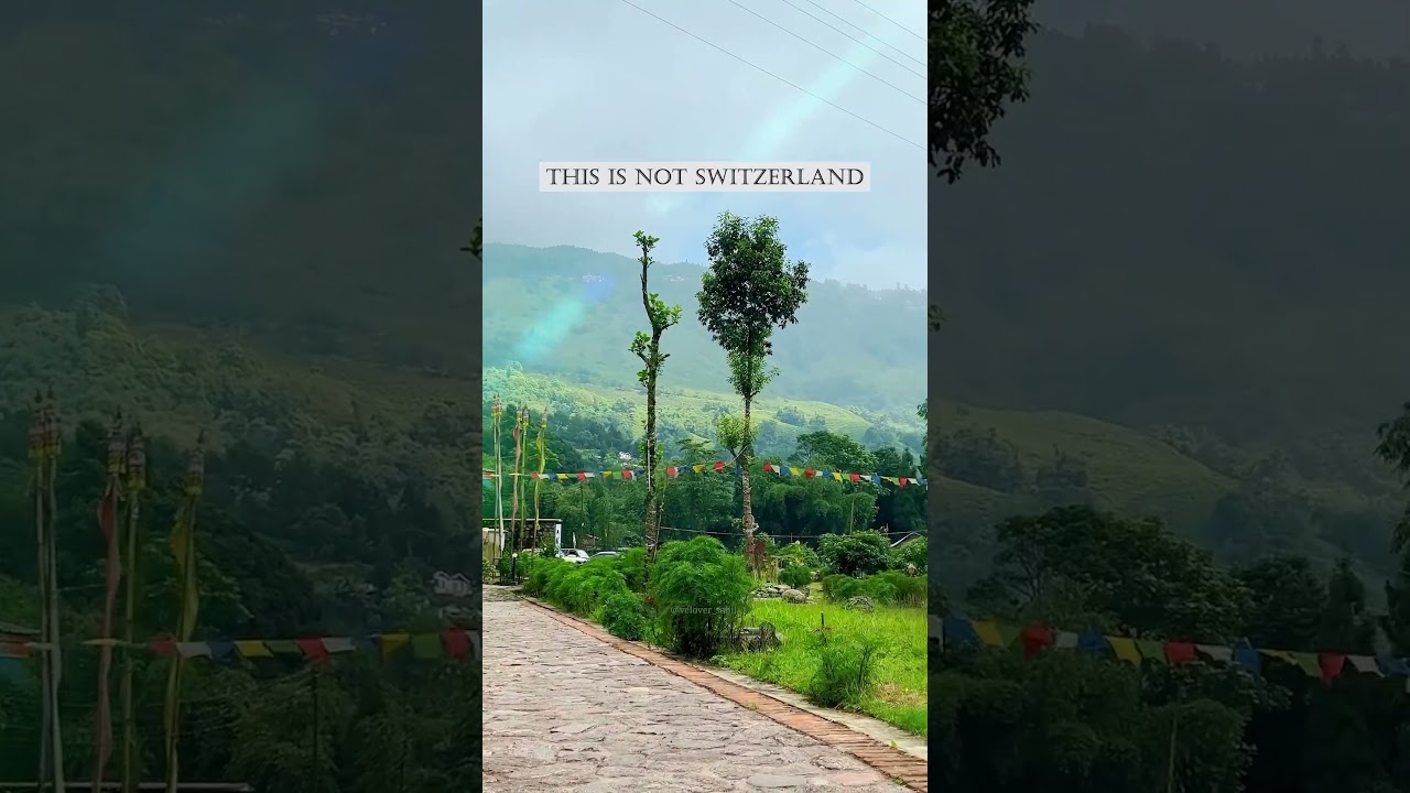 📍beltar resort, kurseong,west bengal