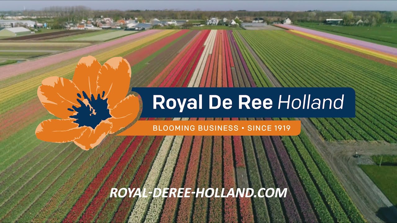 Blooming flowers in spring 2021!