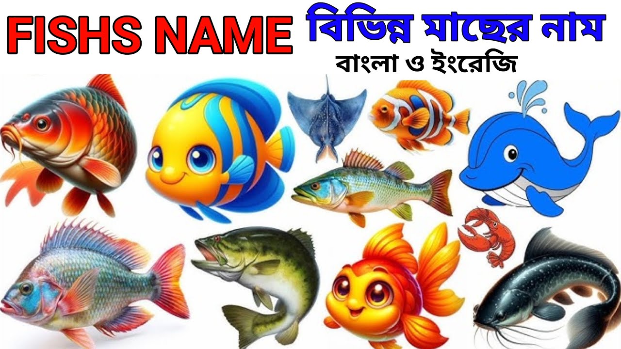বিভিন্ন মাছের নাম বাংলা ও ইংরেজি। FISHS NAME