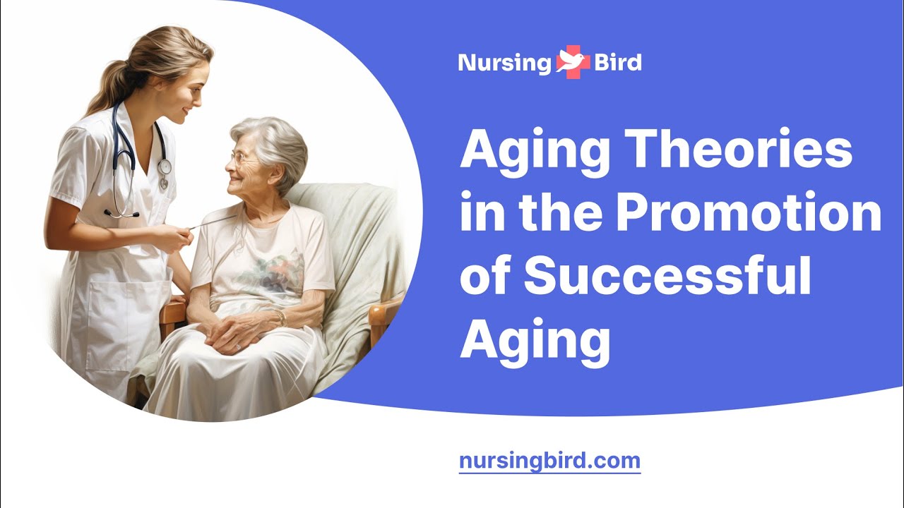 Aging Theories in the Promotion of Successful Aging - Essay Example