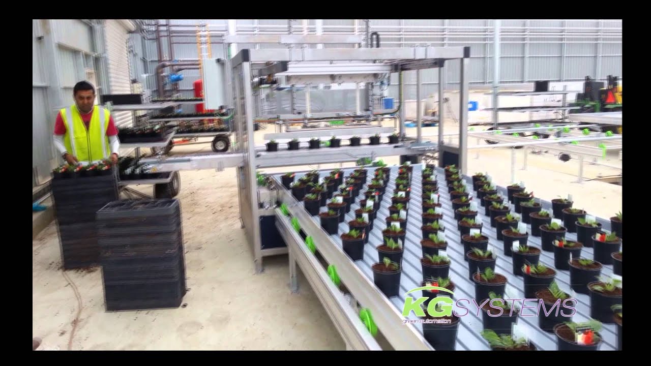 Container system with ebb & flood bottom