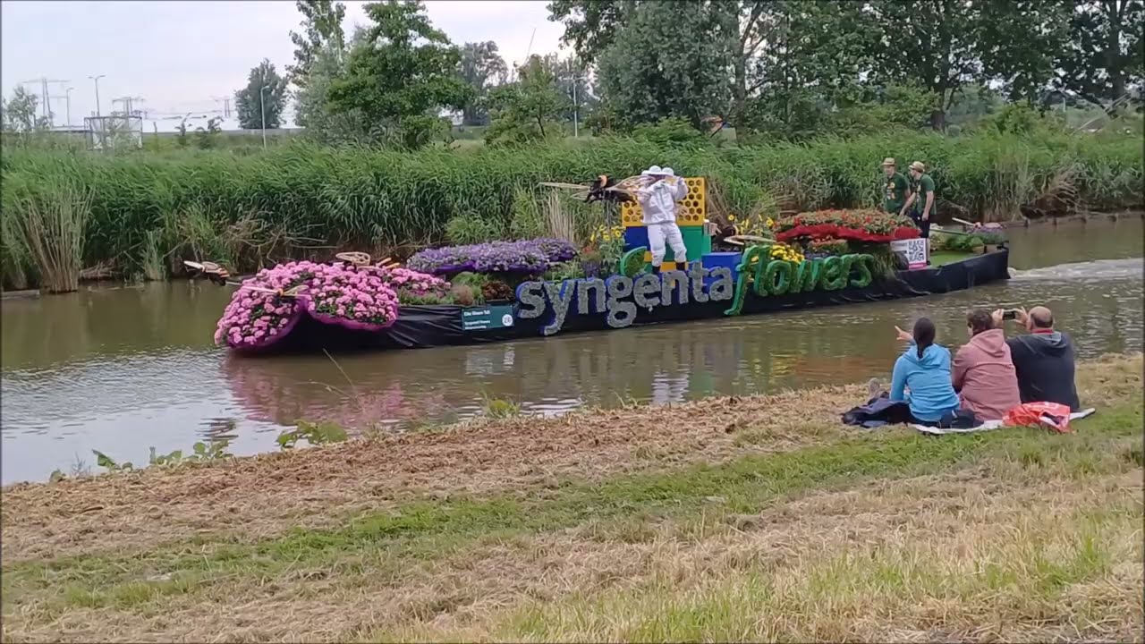 Varend Corso Westland 2024    alle schepen