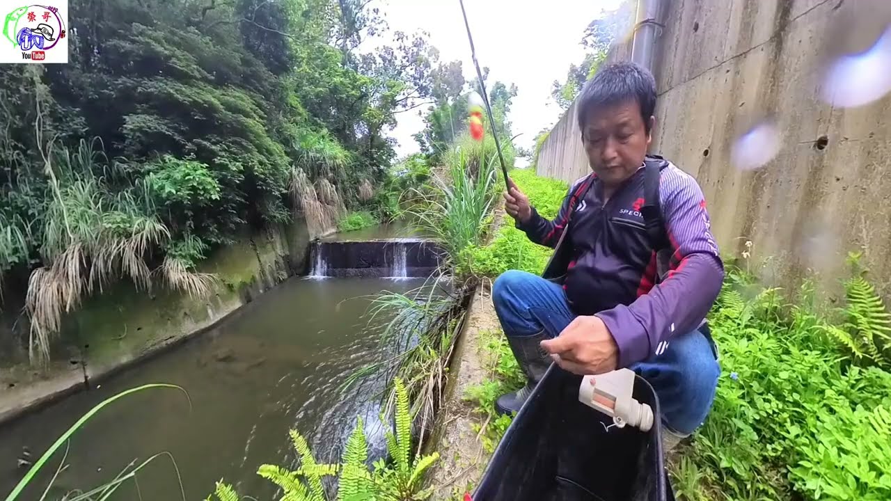 【溪釣】好濕好濕 回家會給老婆罵了 雨下越大 魚咬越兇